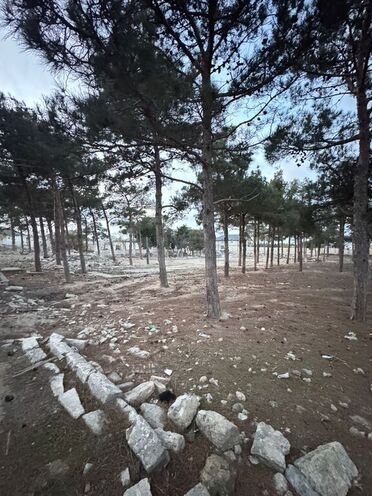 Продаётся  участок 144 сот, пос. Мардакан, photo 9 from 11