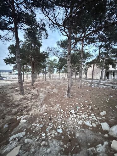 Продаётся  участок 144 сот, пос. Мардакан, photo 8 from 11