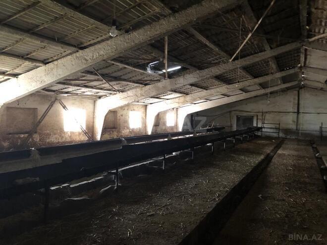 Продаётся  объект 60 м², пос. Сарай, photo 10 from 20