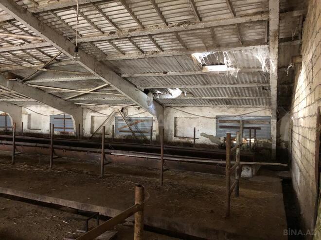 Продаётся  объект 60 м², пос. Сарай, photo 12 from 20