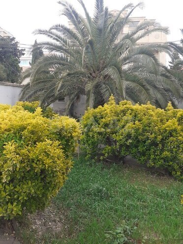 Продаётся 6-комн. дом/дача 240 м², м. 8 ноября, photo 29 from 31