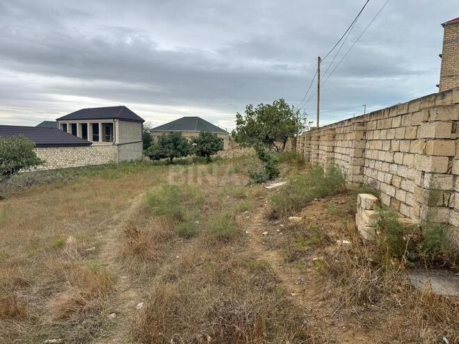 Satılır  torpaq 6 sot, Saray q., photo 8 from 11