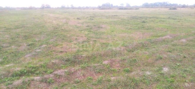 Satılır  torpaq 121 sot, Xaçmaz r., photo 3 from 7