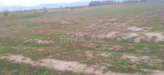 Satılır  torpaq 121 sot, Xaçmaz r., photo 4 from 7