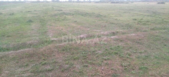 Satılır  torpaq 121 sot, Xaçmaz r., photo 5 from 7