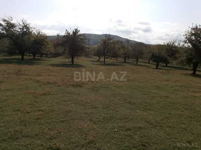 Продаётся  участок 38 сот, photo 9 from 11