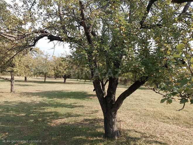 Продаётся  участок 38 сот, photo 5 from 11