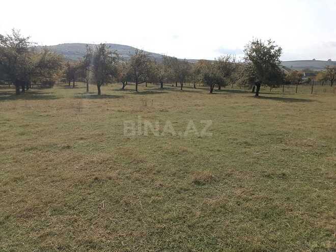 Продаётся  участок 38 сот, photo 10 from 11