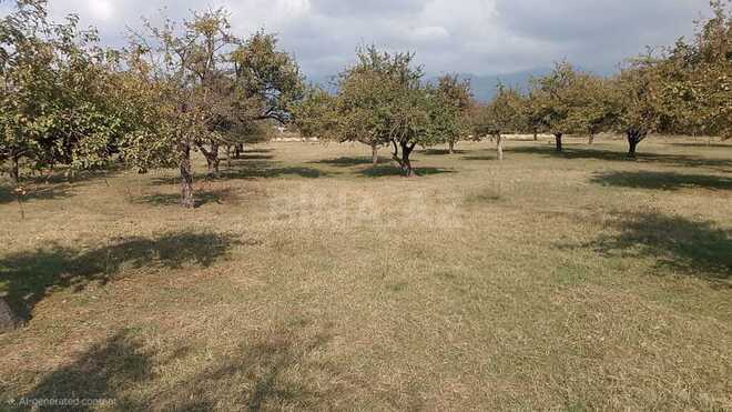 Продаётся  участок 38 сот, photo 7 from 11