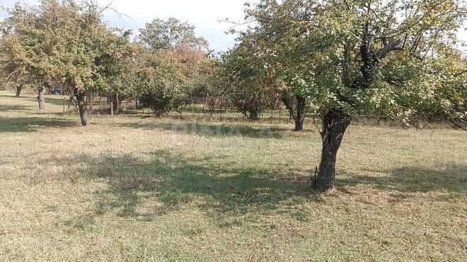 Продаётся  участок 38 сот, photo 6 from 11