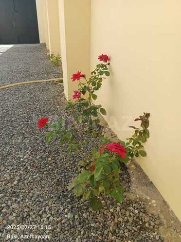 Satılır 3 otaqlı həyət evi/bağ evi 127 m², Sabunçu q., photo 10 from 23
