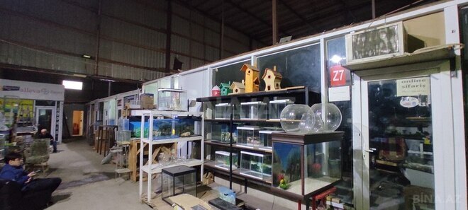 İcarəyə verilir  obyekt 1 200 m², 28 May m., photo 10 from 11