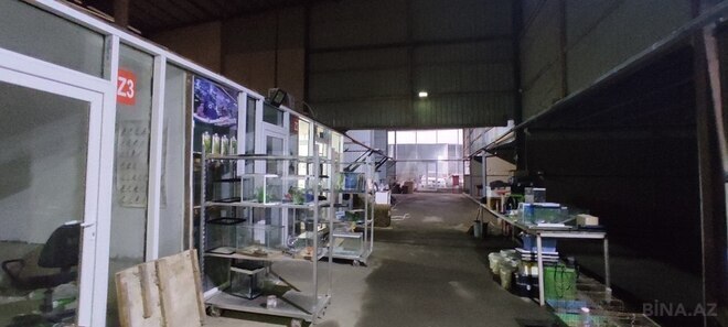 İcarəyə verilir  obyekt 1 200 m², 28 May m., photo 3 from 11