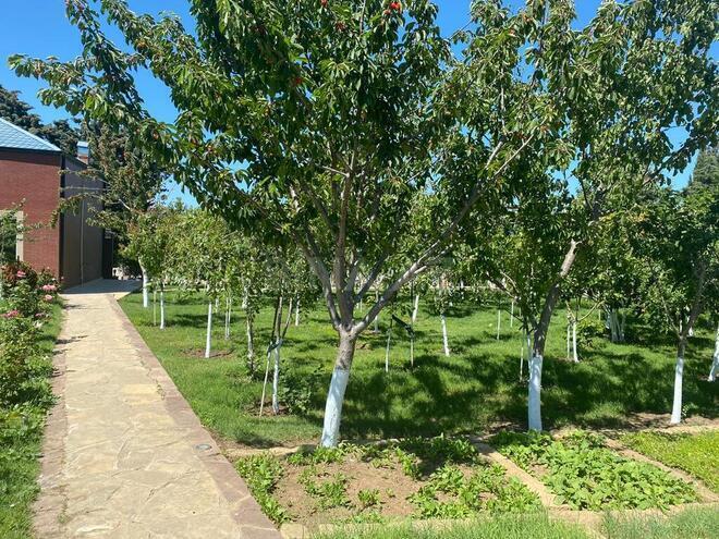 Satılır 6 otaqlı həyət evi/bağ evi 800 m², Novxanı q., photo 14 from 23