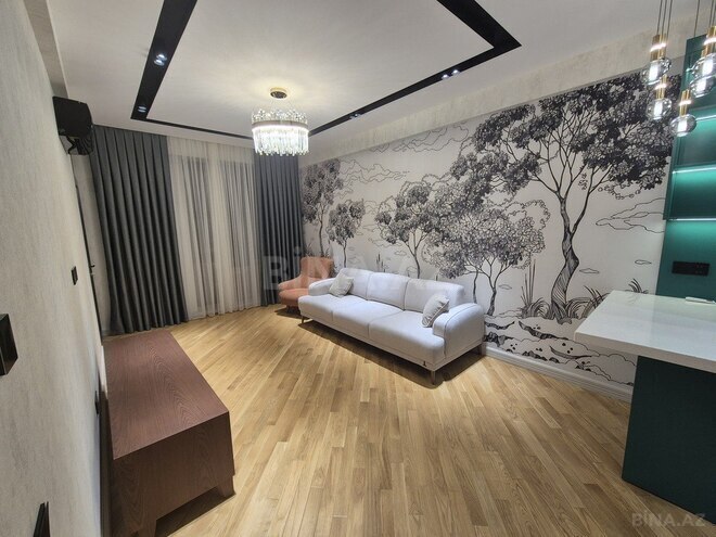 İcarəyə verilir 2 otaqlı yeni tikili 68 m², Şah İsmayıl Xətai m., photo 1 from 19