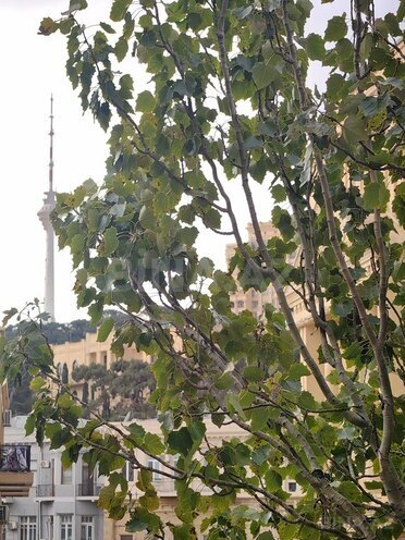 Satılır 2 otaqlı köhnə tikili 54 m², İçəri Şəhər m., photo 10 from 23