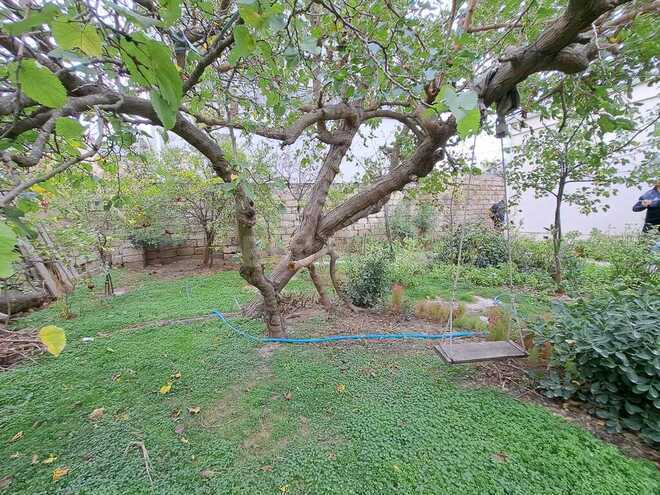 Продаётся 3-комн. дом/дача 100 м², пос. Бюльбюля, photo 22 from 24