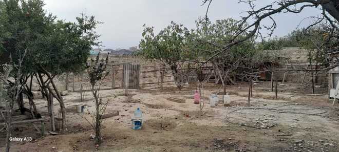 Satılır  torpaq 5 sot, Novxanı q., photo 4 from 7