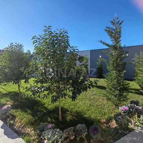 Продаётся 4-комн. дом/дача 250 м², пос. Мардакан, photo 13 from 32