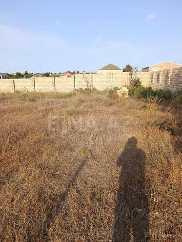 Satılır  torpaq 25 sot, Bilgəh q., photo 3 from 4