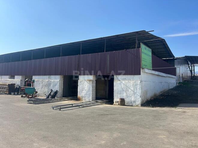 Продаётся  объект 4 200 м², photo 10 from 12