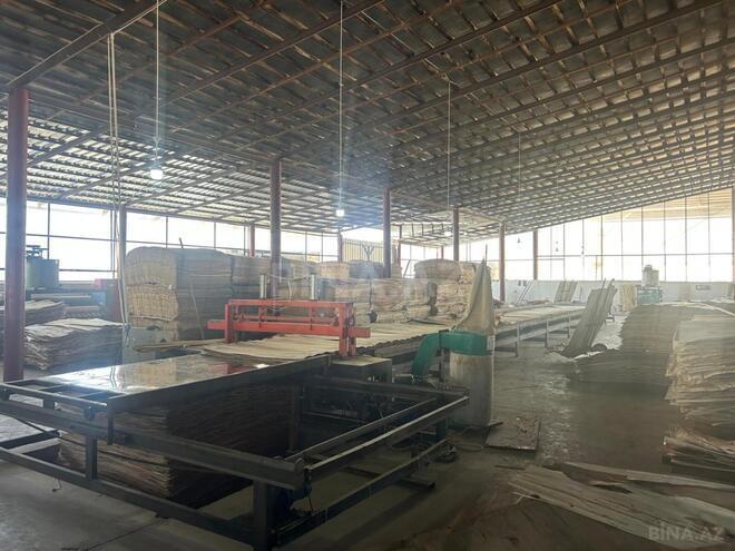 Продаётся  объект 4 200 м², photo 7 from 12