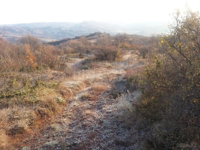 Продаётся  участок 2 500 сот, photo 4 from 6