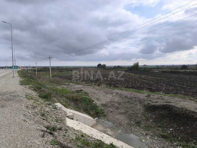 Продаётся  участок 500 сот, photo 12 from 17