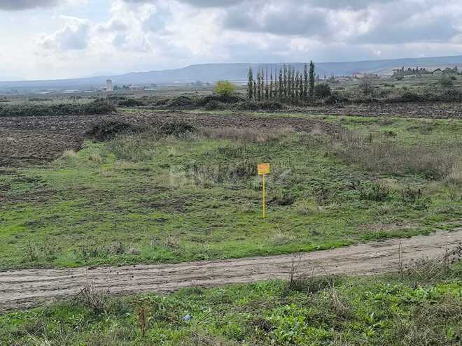 Продаётся  участок 500 сот, photo 4 from 17