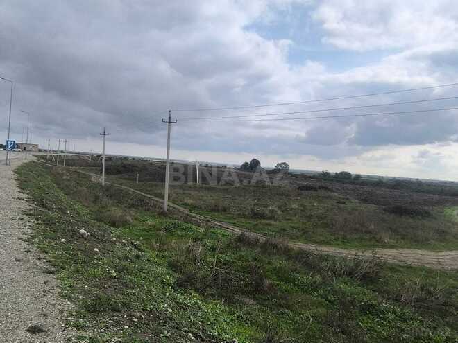 Продаётся  участок 500 сот, photo 9 from 17