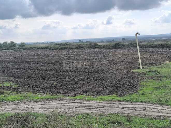 Продаётся  участок 500 сот, photo 3 from 17