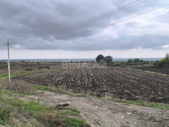 Продаётся  участок 500 сот, photo 7 from 17