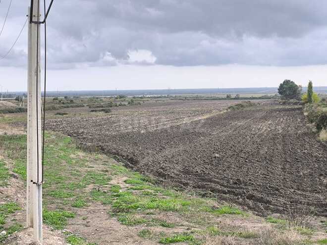 Продаётся  участок 500 сот, photo 15 from 17