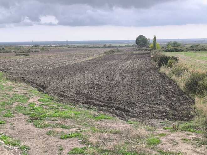 Продаётся  участок 500 сот, photo 11 from 17