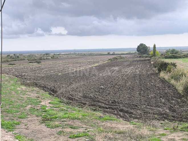 Продаётся  участок 500 сот, photo 14 from 17