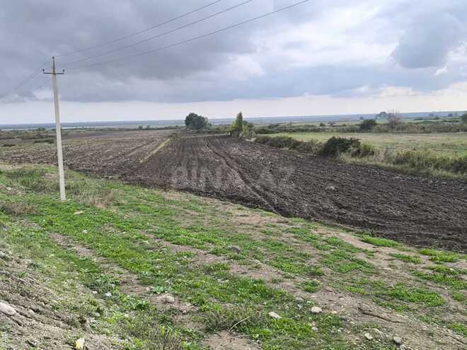 Продаётся  участок 500 сот, photo 10 from 17