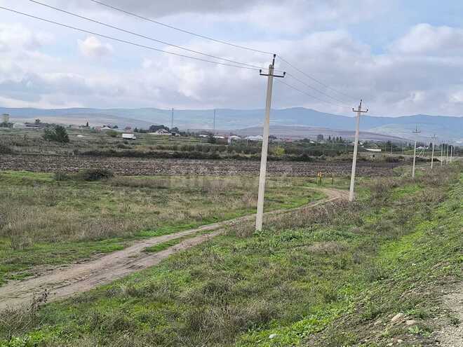 Продаётся  участок 500 сот, photo 13 from 17