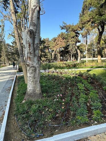 Satılır 2 otaqlı yeni tikili 101 m², Nərimanov r., photo 22 from 23