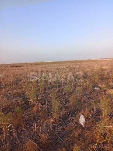 Satılır  torpaq 300 sot, photo 3 from 6