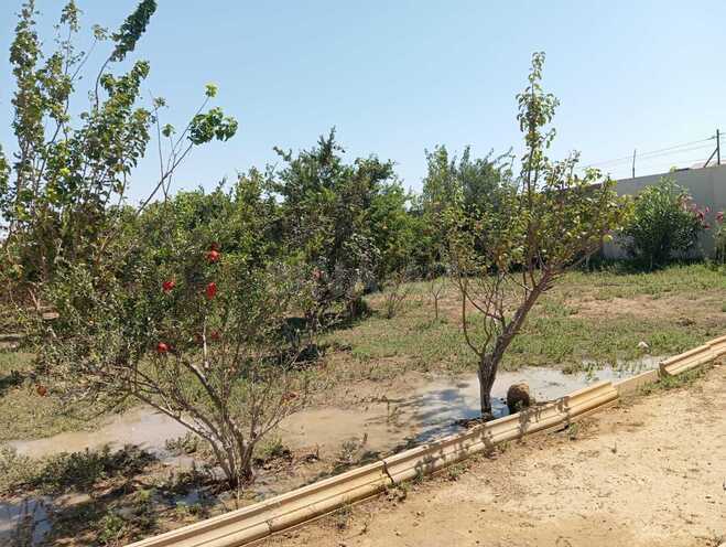 Продаётся 4-комн. дом/дача 135 м², пос. Тюркан, photo 13 from 18