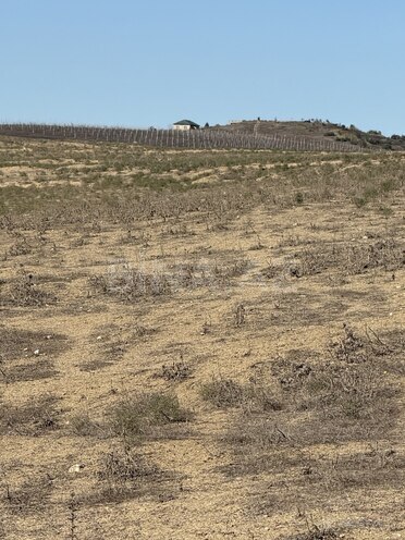 Продаётся  участок 125 сот, пос. Мехтиабад, photo 14 from 17