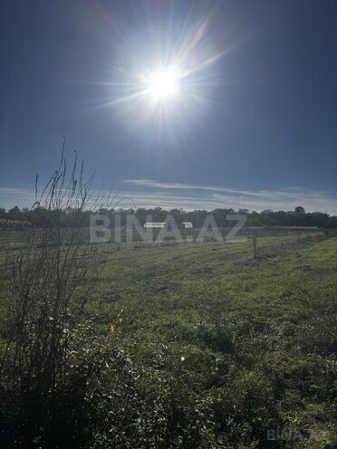 Продаётся  участок 600 сот, photo 3 from 7
