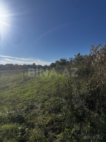 Продаётся  участок 600 сот, photo 1 from 7