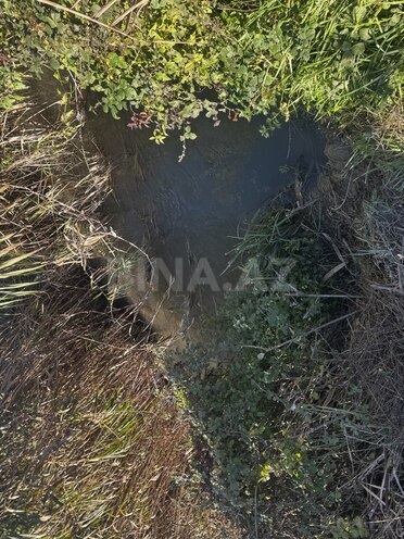 Продаётся  участок 600 сот, photo 6 from 7