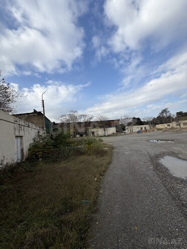 Продаётся  участок 64 сот, пос. 8-й километр, photo 4 from 7