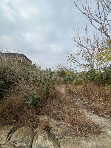 Продаётся  участок 12 сот, пос. Мардакан, photo 10 from 11