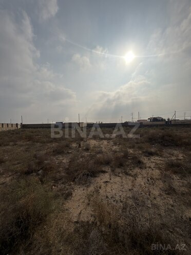 Продаётся  участок 16 сот, пос. Шувеляны, photo 8 from 20