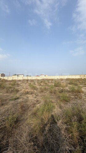Продаётся  участок 16 сот, пос. Шувеляны, photo 13 from 20