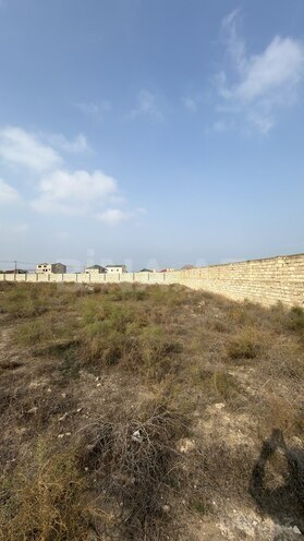 Продаётся  участок 16 сот, пос. Шувеляны, photo 11 from 20