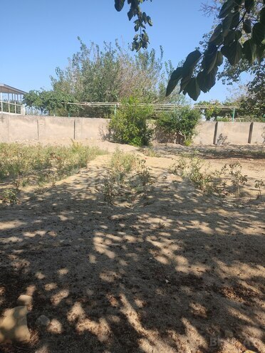 Продаётся  участок 2 сот, пос. Горадил, photo 3 from 6